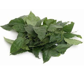 Yanang Leaf from your authentic Thai supermarket